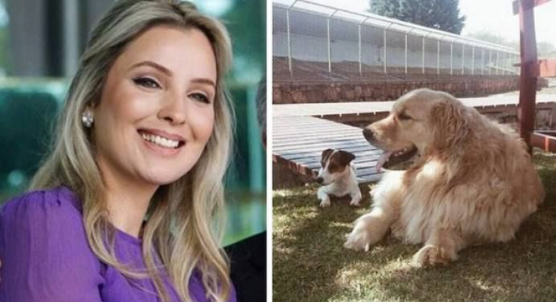 سيدة البرازيل الأولى تغامر بحياتها لإنقاذ كلب