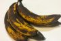 الموز الأسود مفاجأة لم يتوقعها العلماء !