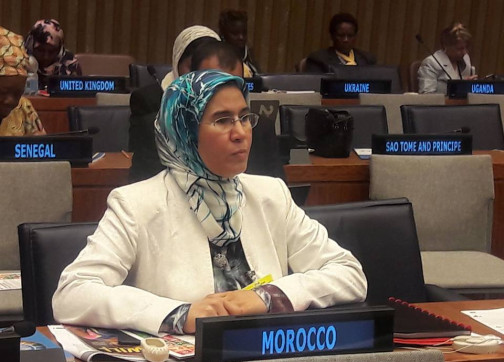 المغرب يمثل دول شمال إفريقيا بمجلس صندوق البيئة العالمي