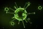 سلالة جديدة من فيروس الإنفلونزا تهدد مليار إنسان