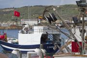 إسبانيا تتوقع توصل المغرب والاتحاد الأوروبي لاتفاق الصيد في الأيام المقبلة