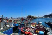 أسطول الصيد الأوروبي يغادر غدا المياه المغربية
