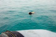 صعوبات في اتتشال جثة شاب من المياه الجزائرية بعد غرقه في السعدية