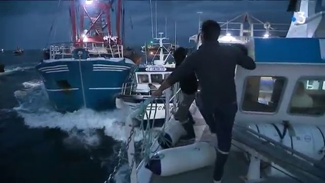 بالفيديو...صيد المحار يتحول لمعركة في إغراق القوارب بين الصيادين