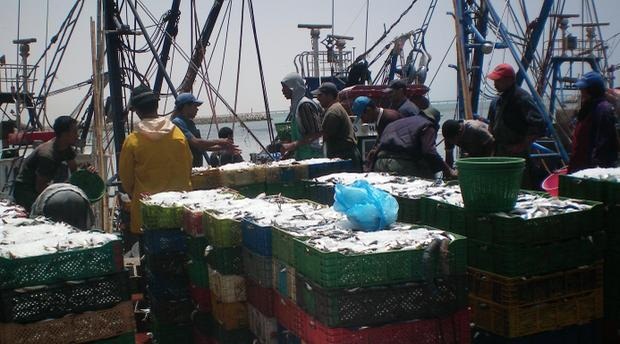 وفد برلماني أوروبي بالداخلة لمعاينة فوائد اتفاق الصيد على الأقاليم الجنوبية