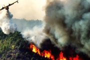 النيران تجتاح غابات طنجة والسلطات تستعين بطائرات