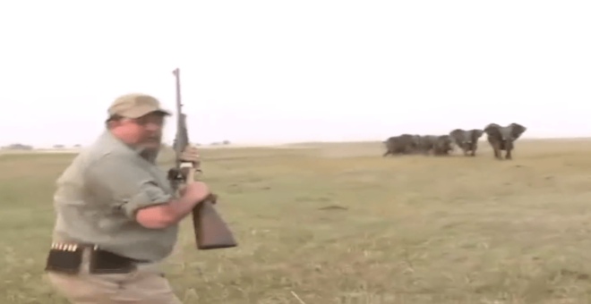 بالفيديو.. أفيال تهاجم صيادين لإطلاقهم النار على واحد منهم