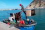 صيادون جزائريون ينقذون صيادين مغاربة من الغرق