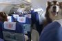 بالفيديو.. كلب عملاق يجلس داخل طائرة يثير دهشة المسافرين