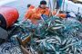 إسبانيا تأمل في أن يتم المصادقة على اتفاق الصيد بين المغرب وأوروبا