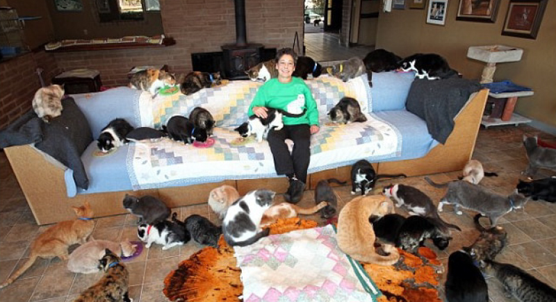 المرأة التي تنازلت عن قصرها لآلاف القطط