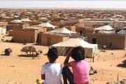 الصحافة الكنارية: مخيمات تندوف بالجزائر هي مقبرة للمحتجزين