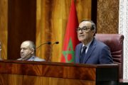 المالكي يفضح تجاوزات جهات معادية للمغرب داخل البرلمان الإفريقي