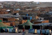 اللجنة الأممية الـ24.. فضح الانتهاكات لحقوق الإنسان بمخيمات تندوف