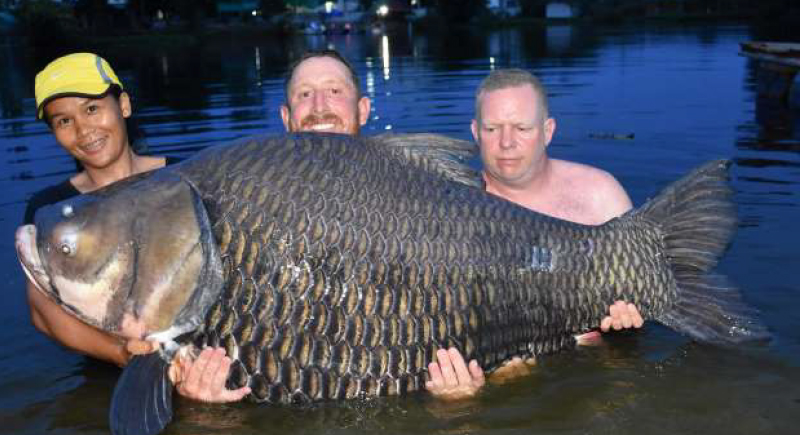 وزنها 105 كيلو.. بريطاني يصطاد أضخم سمكة في العالم