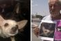 أمريكي يعرض منزله هدية لمن يعثر على كلبته المفقودة