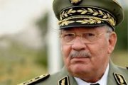 مواجهات أمهريز تورط القايد صالح وجنرالات الجزائر في تجارة قيادة البوليساريو للمخدرات