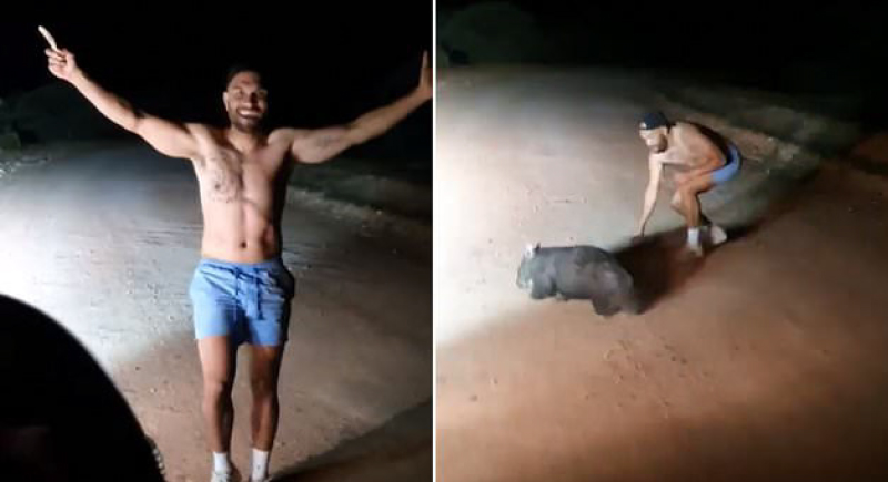 فيديو.. غضب يجتاح استراليا بعد قذف ضابط شرطة لحيوان بالحجارة