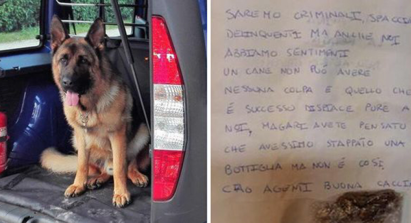 إيطاليا: تجار مخدرات يعزون الشرطة بعد وفاة كلب ويواسونها بكيس ''حشيش''