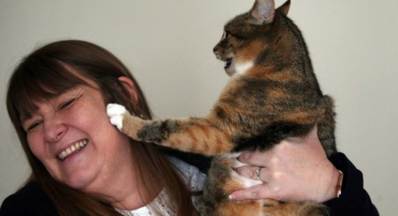 كيف أنقذت قطة حياة مالكتها من مرض السرطان؟