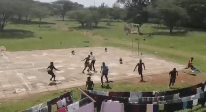 قطيع من القردة يهاجم طلاب يلعبون كرة السلة... فيديو