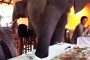 لحظات مرعبة وقت الفطور.. أفيال تقتحم مطعم أثناء وجود سياح بزامبيا (فيديو)
