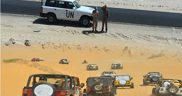 نشطاء صحراويون.. 