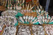 كورونا.. الحكومة تطمئن المغاربة بشأن تموين السوق بالأسماك والمنتجات الفلاحية