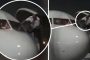 فيديو..طياران يهربان من نافذ الطائرة بسبب شائعة إصابة ركابها بكورونا