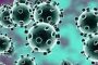 فيروس كورونا .. المصابون بالفيروس القاتل قادرون علي نقل العدوي لمدة 35يوما