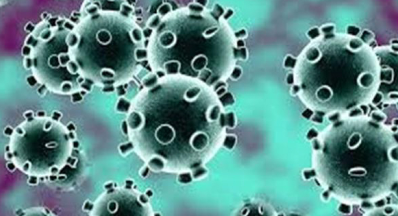 دراسة: فيروس كورونا المتفشي في العالم قد لا يكون 