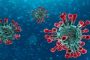 عالم فيروسات ألماني يكشف مناعة فريدة لمقاومة COVID-19