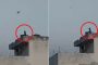 مع استمرار الحجر الصحي.. قرد يلعب بطائرة ورقية على سطح أحد المباني (فيديو)