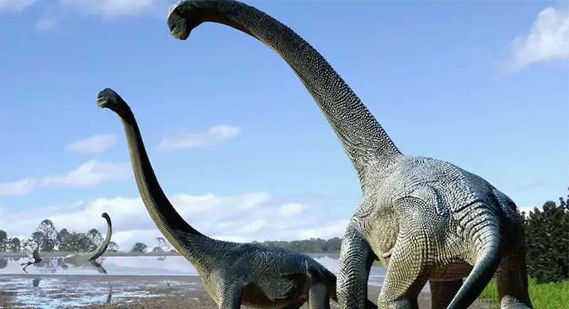 اكتشاف هيكل عظمي لديناصور عملاق طوله 10 أمتار