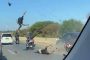 حادث مروع خلال استعراض بالدراجات النارية في الجزائر (فيديو)