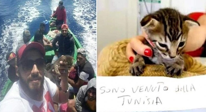 قطة تونسية تنجح في الهجرة إلى إيطاليا!