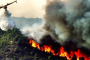 طنجة: السيطرة على حريق أتى على 36 هكتارا من الغابة الدبلوماسية