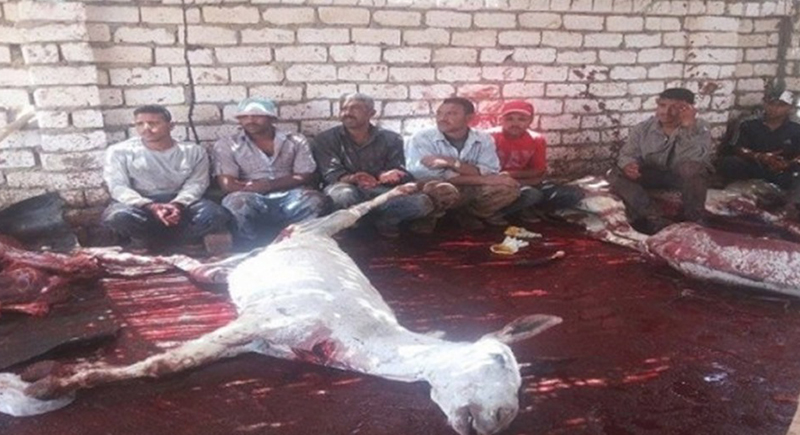 بالصور: ذبح وسلخ عشرات الحمير لبيع لحمها قبل عيد الأضحى !