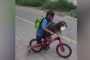 الوعي في أرقى صورة.. طفل يضع قناعا على وجه كلبه قبل ركوب الدراجة معا (فيديو)