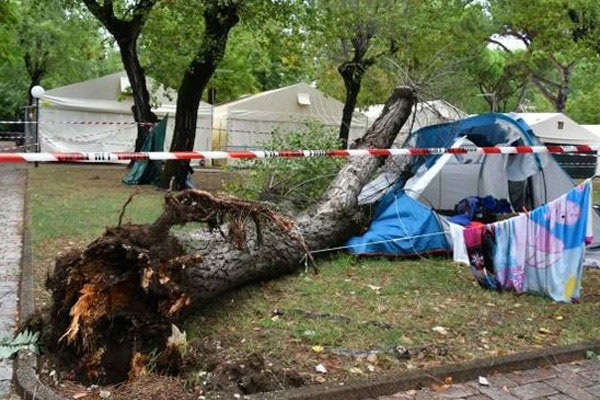 اثر سقوط شجرة.. وفاة طفلتين مغربيتين بإيطاليا يحرك مشاعر التعاطف.. ورئيس الوزراء يتفاعل
