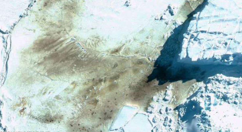 صور فضائية تكشف عن مستعمرات في القارة القطبية تظهر لأول مرة