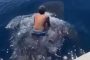 فيديو.. سعودي يقفز على ظهر حوت ويأخذ جولة داخل البحر