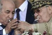 سعار الجزائر.. تبون يمهل المسؤولين 10 أيام لإنهاء العقود مع شركات مغربية