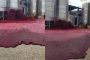 سيل من النبيذ بعد انفجار خزان يحتوي على 50 ألف لتر (فيديو)