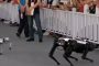 كلاب آلية تستعرض مهارات مذهلة (فيديو)