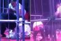بسبب الحلوى..دب يهاجم مدربه خلال عرض في السيرك الصيني (فيديو)