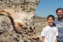 طفل يعثر على هيكل ديناصور يعود تاريخه إلى 69 مليون سنة