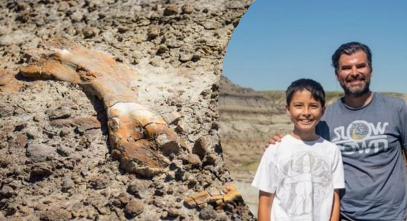 طفل يعثر على هيكل ديناصور يعود تاريخه إلى 69 مليون سنة