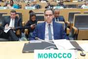 المغرب يدعو بالاتحاد الإفريقي إلى احترام الشرعية وضرورة تنمية إفريقيا