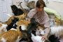 سيدة حولت منزلها إلى ملجأ لـ480 قطا و12 كلبا: تنفق 7800 دولار شهريًا